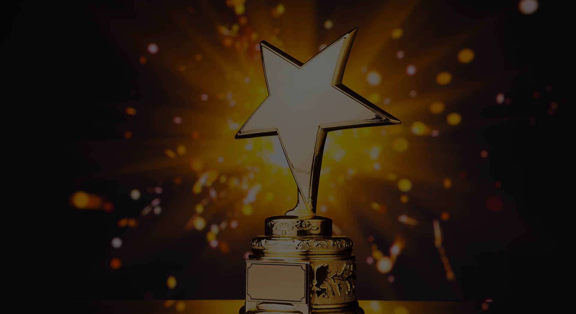 資質(zhì)榮譽(yù)